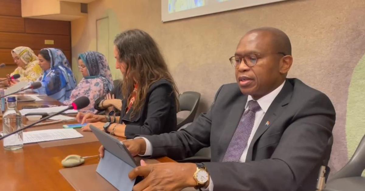 South African Representative in Geneva affirms Sahrawi women's resilience in occupied cities exposes official narrative whitewashing occupation