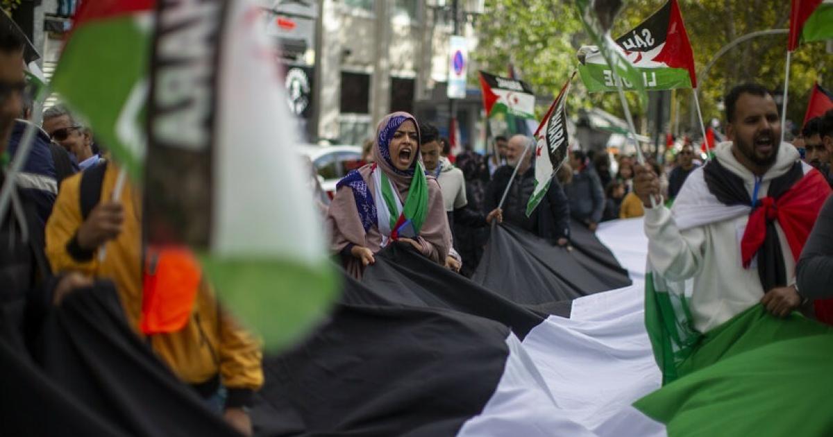 Sahrawi activist describes energy projects in occupied Sahrawi territories as "bloody"