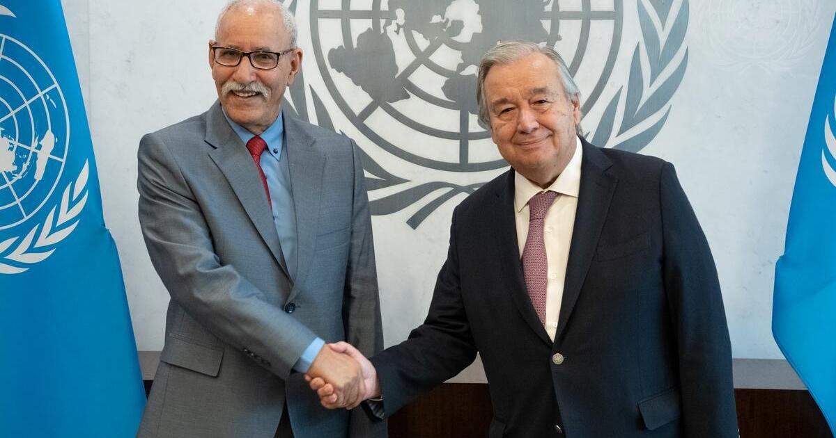 President of Republic meets with UN Secretary-General