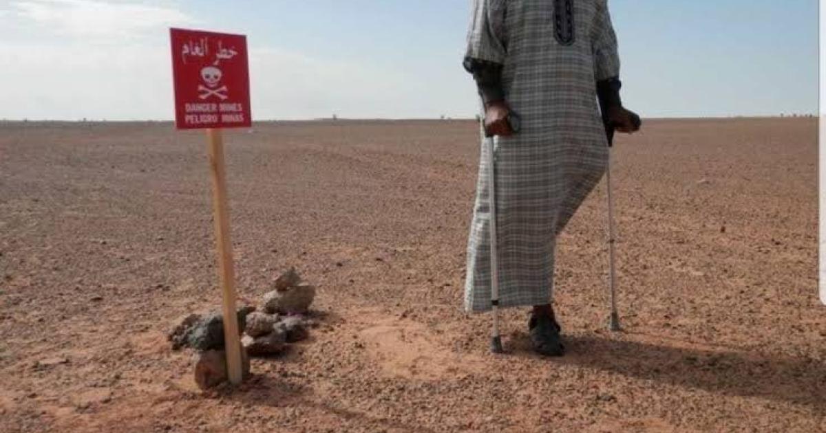 SMACO sounds alarm and calls for urgent mobilization to support field efforts