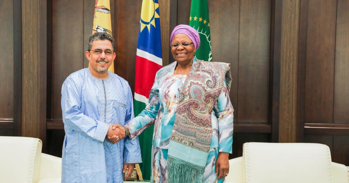 Ambassador Ubbi Boushraya Bashir received by Namibian President
