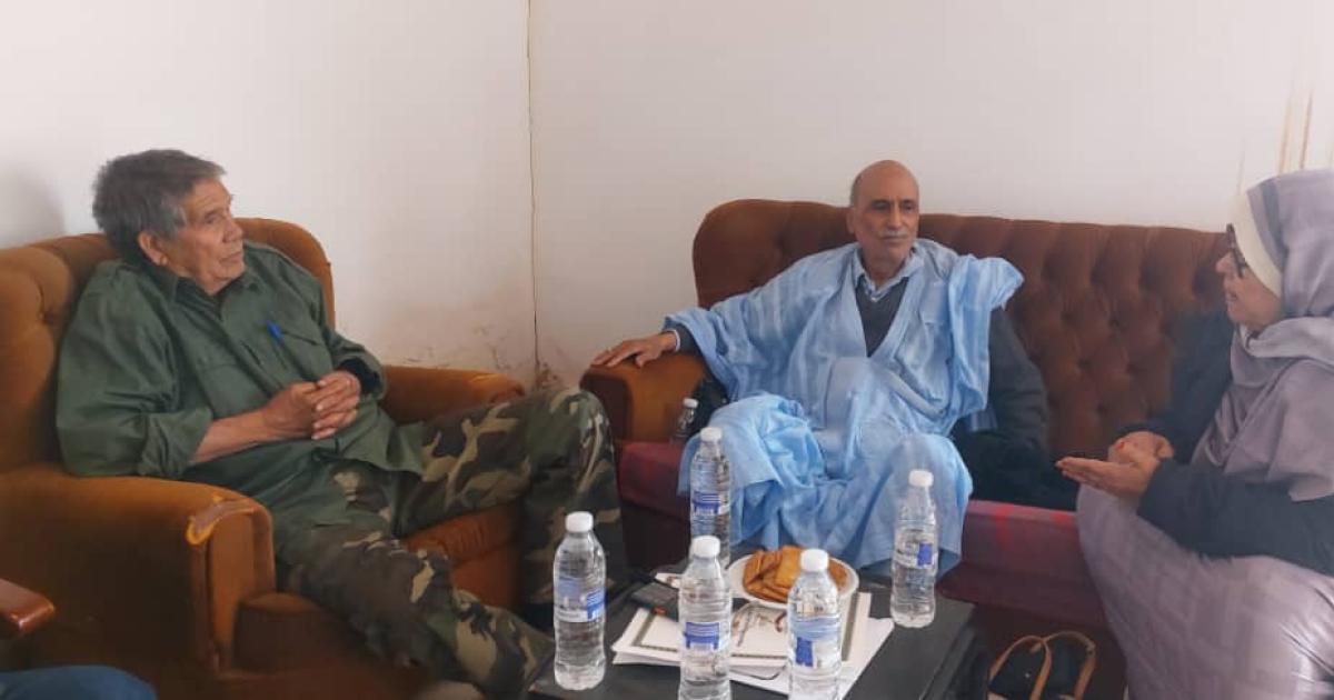 President of National Council receives members of Sahrawi Republic in Pan-African Parliament