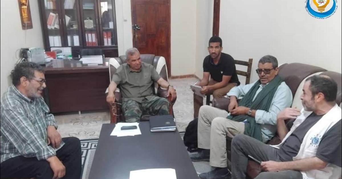 Minister of Public Health receives representative of Matres Mundi