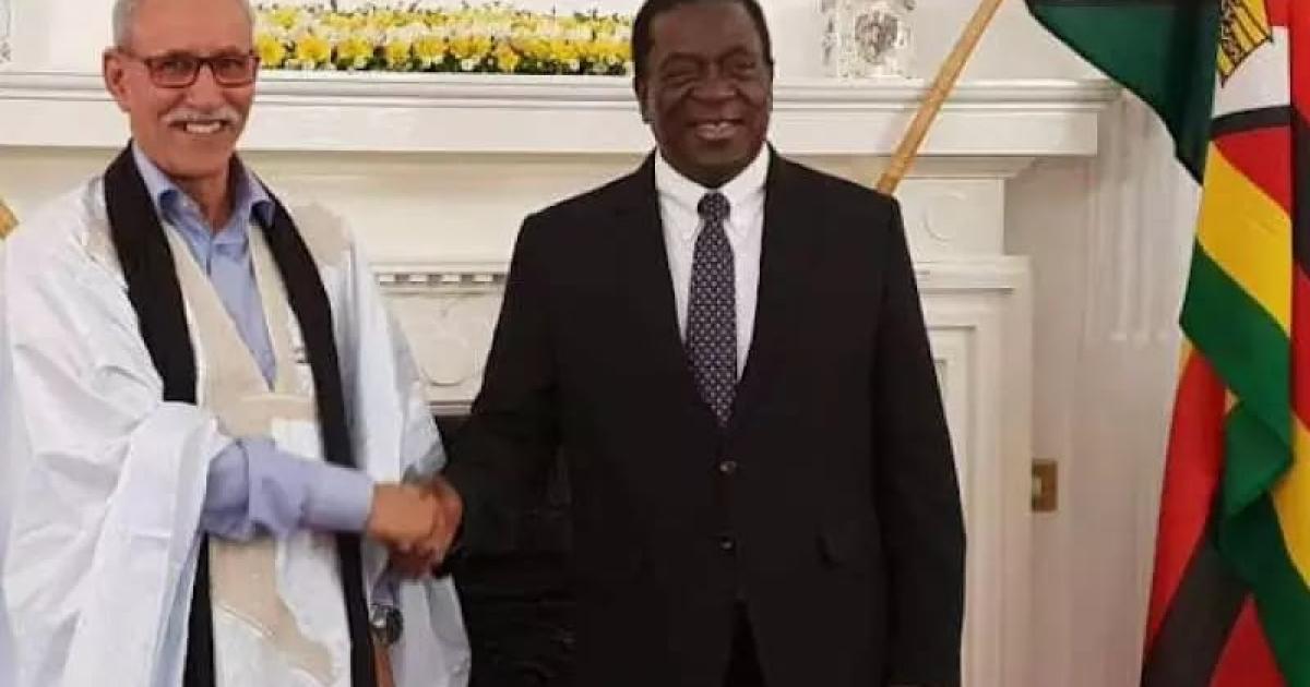 President of Republic congratulates Zimbabwe on election to UN Security Council